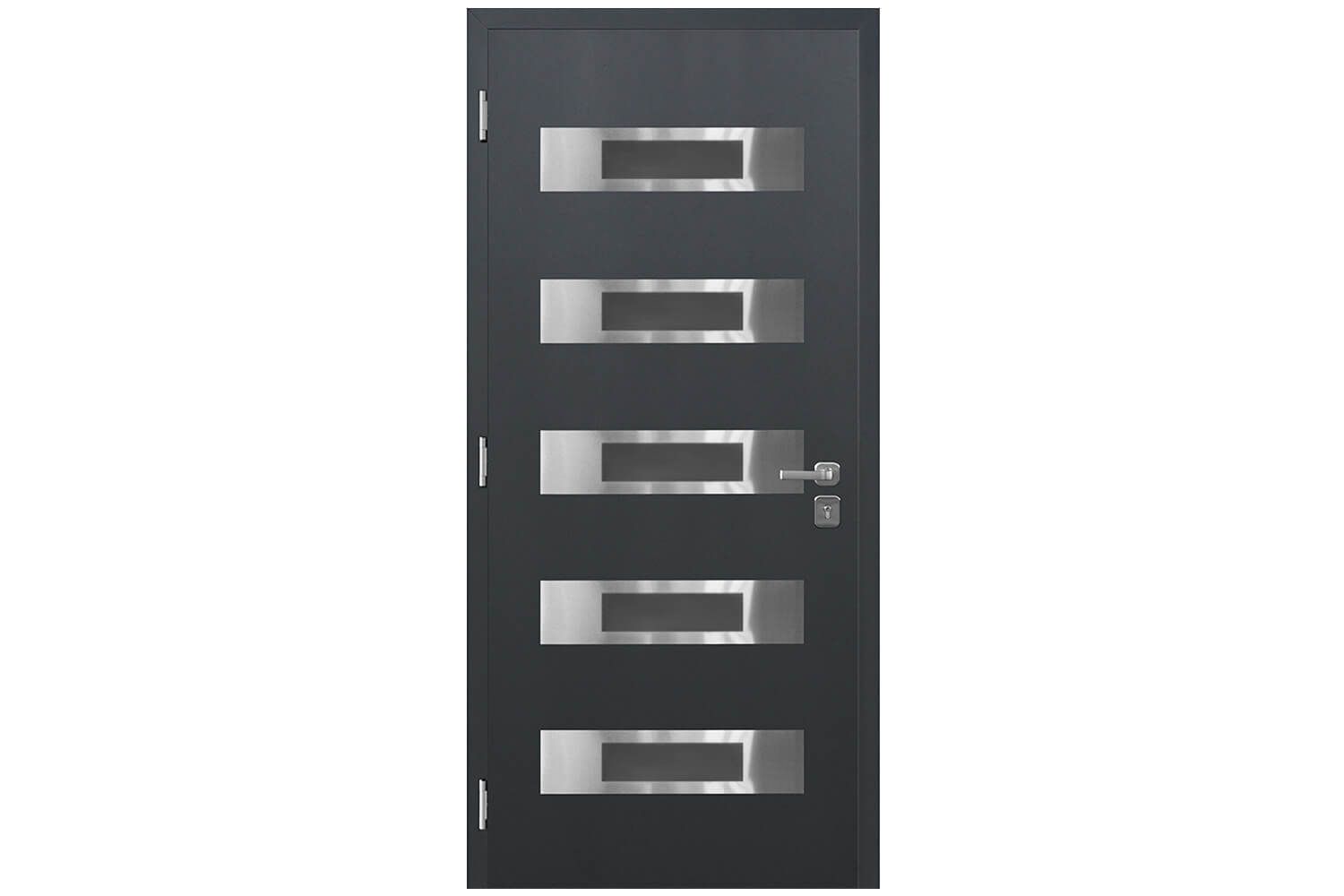 Nova Inox S5 Gray Modern Exterior Door