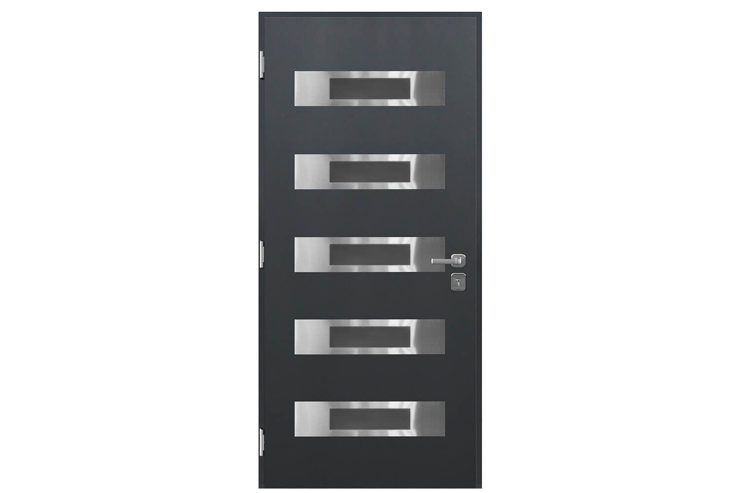 Nova Inox S5 Gray Modern Exterior Door